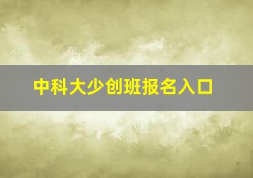 中科大少创班报名入口