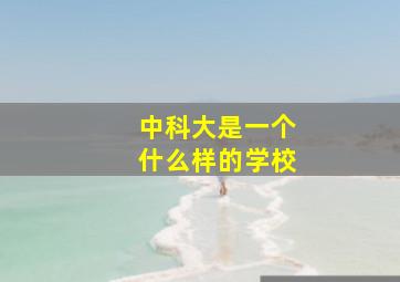 中科大是一个什么样的学校