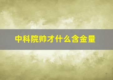 中科院帅才什么含金量