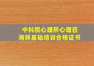 中科院心理所心理咨询师基础培训合格证书