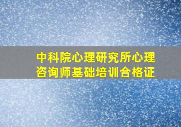 中科院心理研究所心理咨询师基础培训合格证