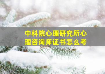 中科院心理研究所心理咨询师证书怎么考