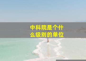 中科院是个什么级别的单位