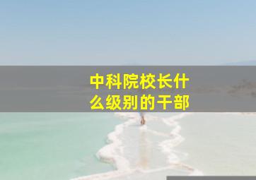 中科院校长什么级别的干部