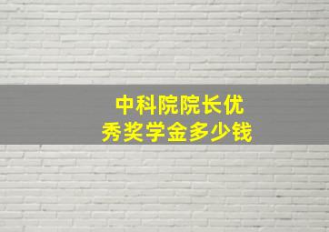 中科院院长优秀奖学金多少钱