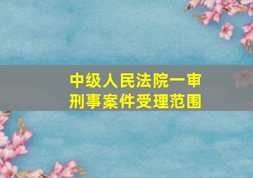 中级人民法院一审刑事案件受理范围