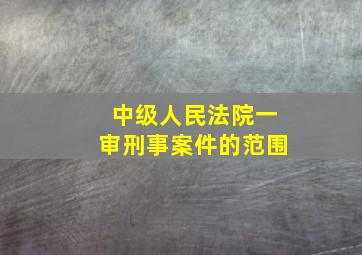 中级人民法院一审刑事案件的范围