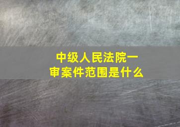 中级人民法院一审案件范围是什么