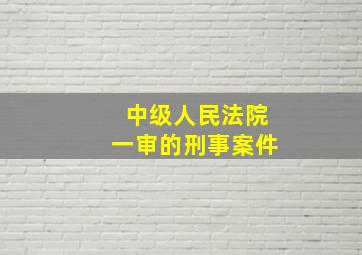 中级人民法院一审的刑事案件