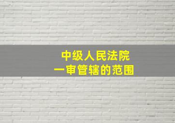 中级人民法院一审管辖的范围