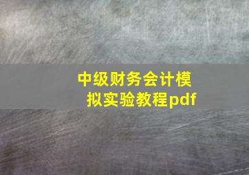 中级财务会计模拟实验教程pdf