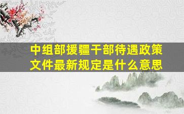 中组部援疆干部待遇政策文件最新规定是什么意思