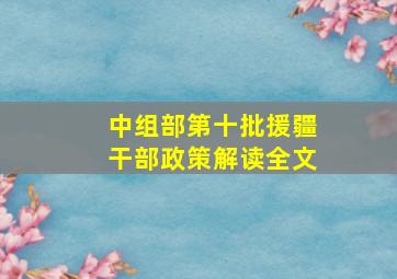 中组部第十批援疆干部政策解读全文