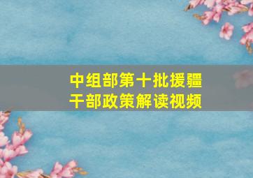 中组部第十批援疆干部政策解读视频