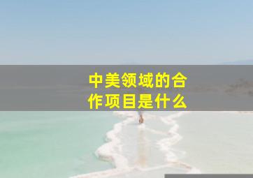 中美领域的合作项目是什么