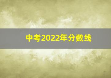 中考2022年分数线