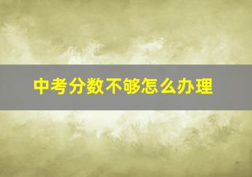 中考分数不够怎么办理