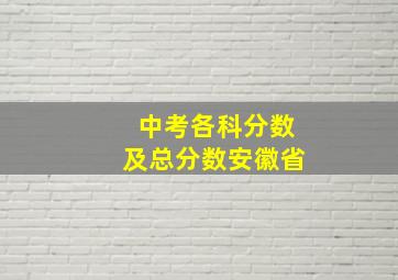 中考各科分数及总分数安徽省