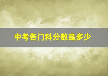 中考各门科分数是多少