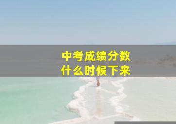 中考成绩分数什么时候下来