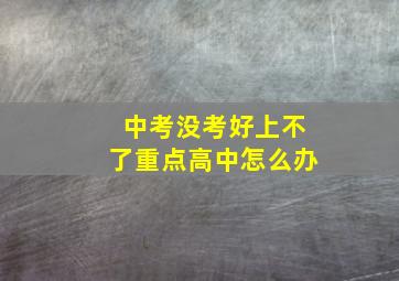 中考没考好上不了重点高中怎么办