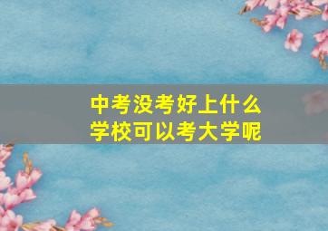 中考没考好上什么学校可以考大学呢