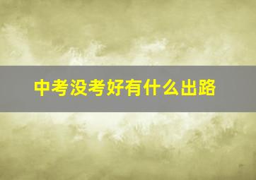 中考没考好有什么出路