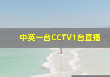 中英一台CCTV1台直播