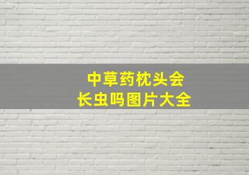 中草药枕头会长虫吗图片大全