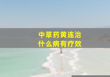 中草药黄连治什么病有疗效