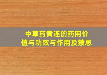 中草药黄连的药用价值与功效与作用及禁忌