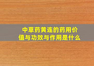 中草药黄连的药用价值与功效与作用是什么