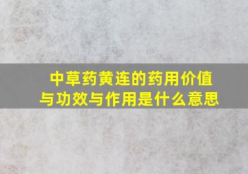 中草药黄连的药用价值与功效与作用是什么意思