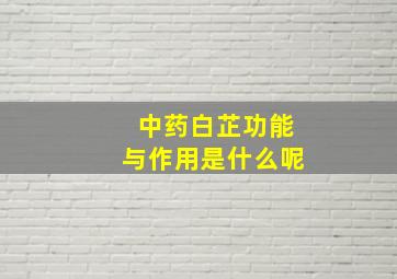 中药白芷功能与作用是什么呢