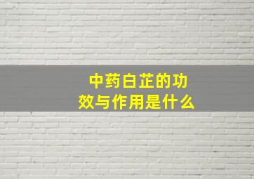 中药白芷的功效与作用是什么