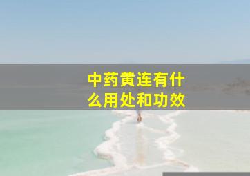 中药黄连有什么用处和功效