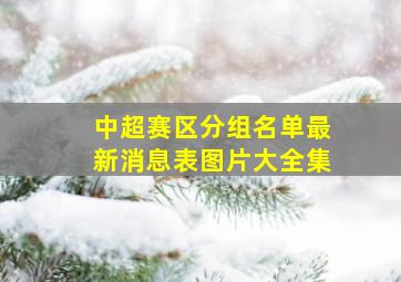 中超赛区分组名单最新消息表图片大全集