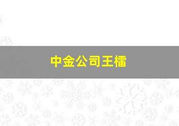 中金公司王檑