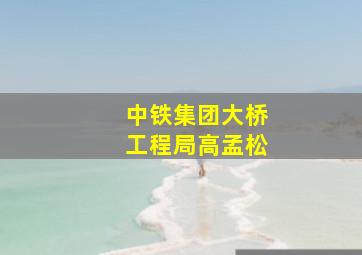 中铁集团大桥工程局高孟松