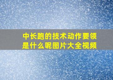 中长跑的技术动作要领是什么呢图片大全视频