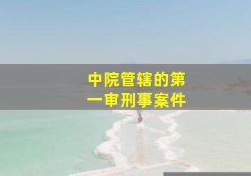 中院管辖的第一审刑事案件