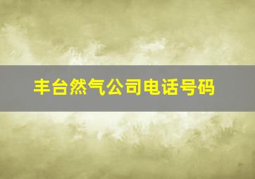 丰台然气公司电话号码