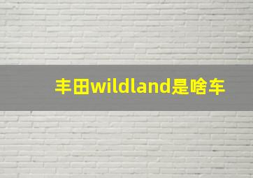 丰田wildland是啥车