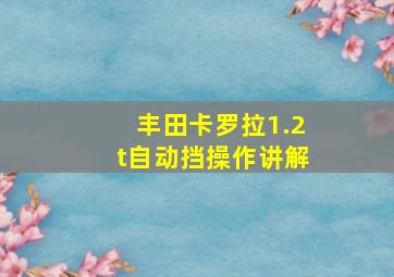 丰田卡罗拉1.2t自动挡操作讲解