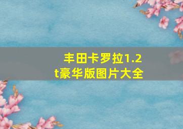 丰田卡罗拉1.2t豪华版图片大全