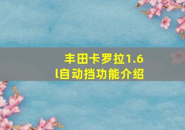 丰田卡罗拉1.6l自动挡功能介绍