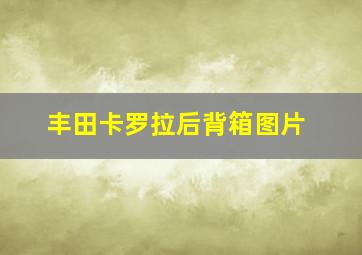 丰田卡罗拉后背箱图片