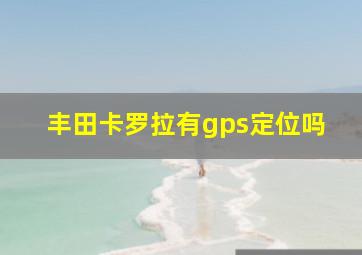 丰田卡罗拉有gps定位吗