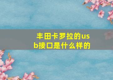 丰田卡罗拉的usb接口是什么样的