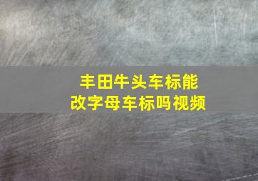 丰田牛头车标能改字母车标吗视频